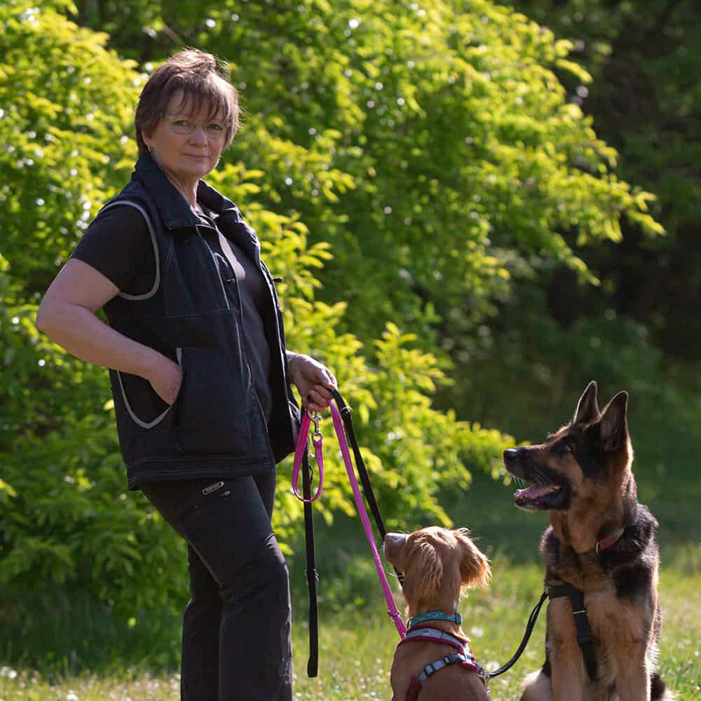 Sue Kewley German Shepherd professional dog trainer